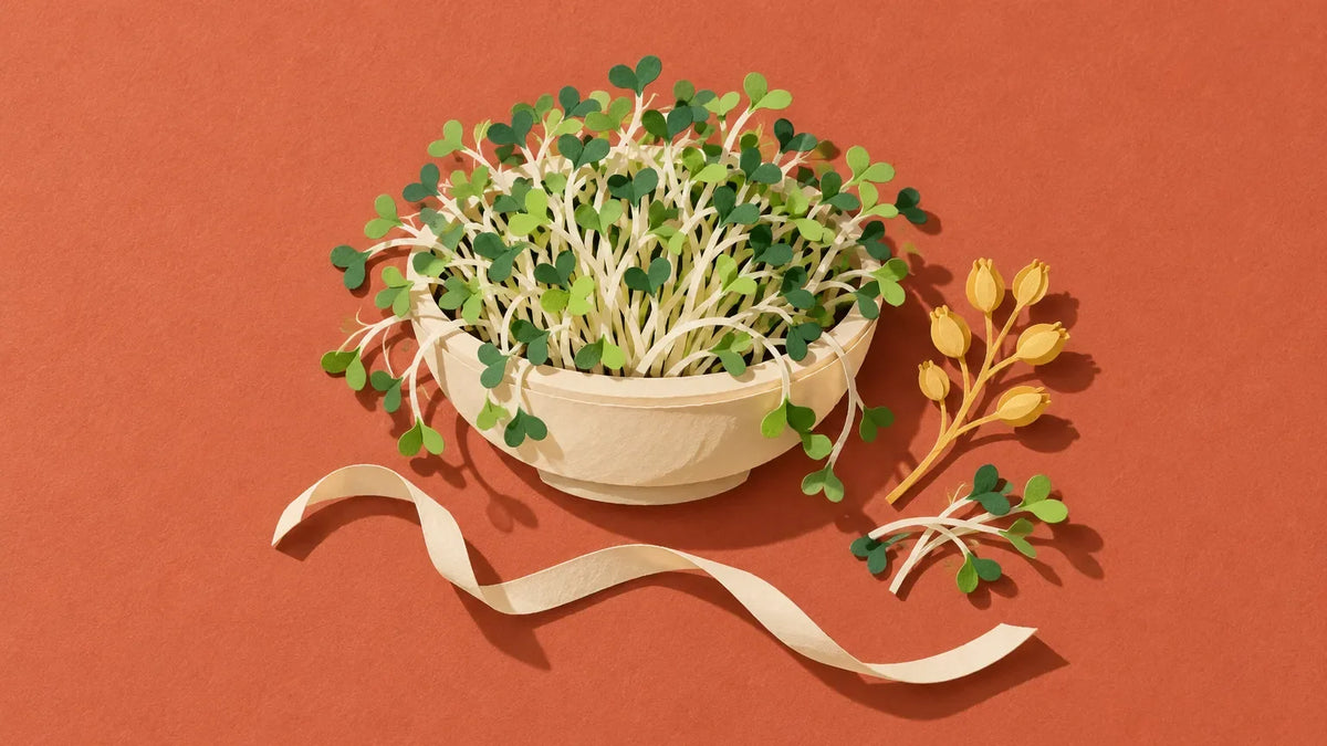 Paper-cut illustration of a bowl of broccoli sprouts beside a sprig of mustard seed pods