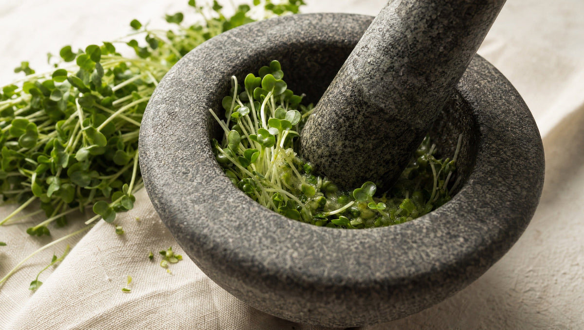 Myrosinase: The Enzyme That Decides Whether Your Sulforaphane Supplement Works
