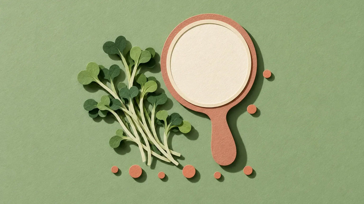 Paper-cut illustration of a sprig of broccoli sprouts beside a hand mirror