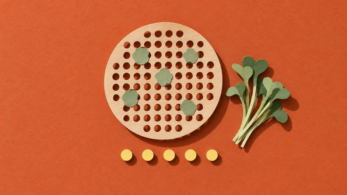 Paper-cut illustration of a round mesh sieve beside a sprig of broccoli sprouts