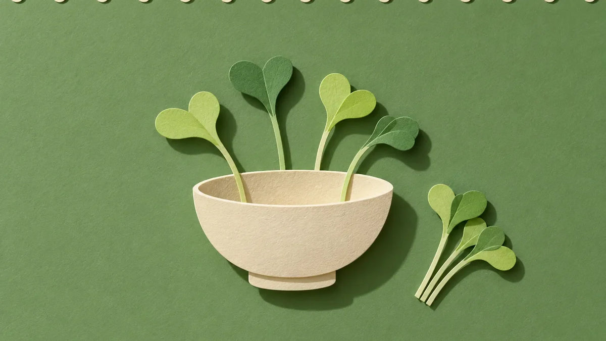 Paper-cut illustration of a bowl beside a sprig of broccoli sprouts
