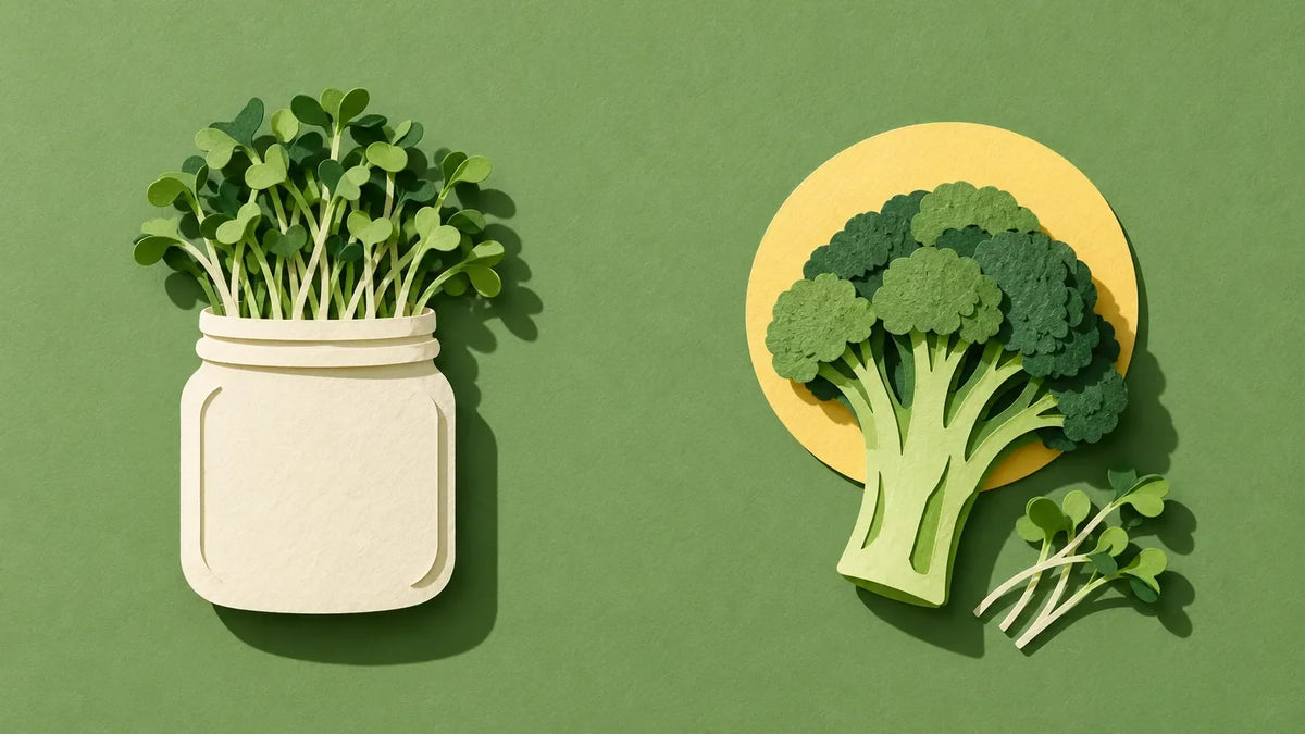 Paper-cut illustration of a jar of sprouts beside a broccoli floret