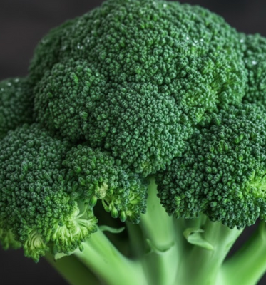Broccoli Seed Extract