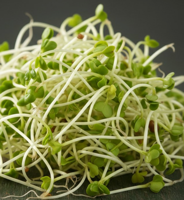 Broccoli Sprout Extract