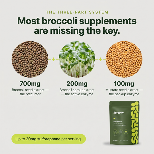 Sproutly Broccoli Sprout Extract Capsules